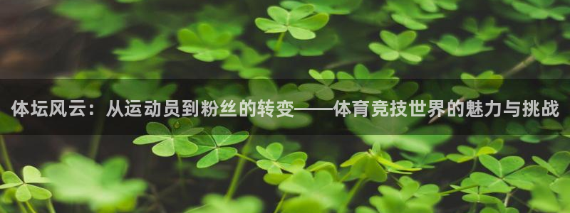 oety欧亿体育官网下载软件：体坛风云：从运动员到粉
