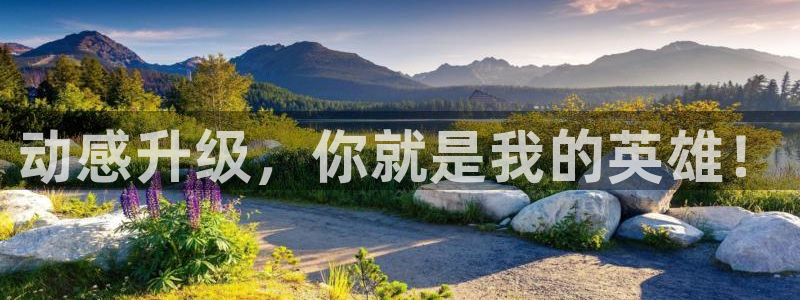 oety欧亿体育官网下载招商电话号码是多少啊：动感升