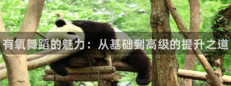 oety欧亿体育官网下载招商电话地址是多少：有氧舞蹈