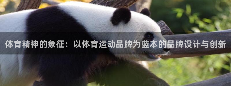 欧亿体育官方正版app官网：体育精神的象征：以体育运
