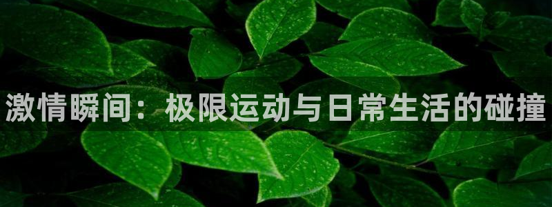 欧亿体育官方正版app集团官网首页网址：激情瞬间：极